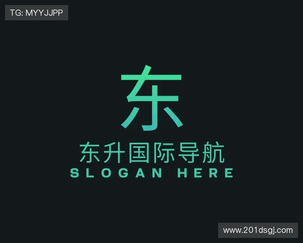 详解东升国际导航